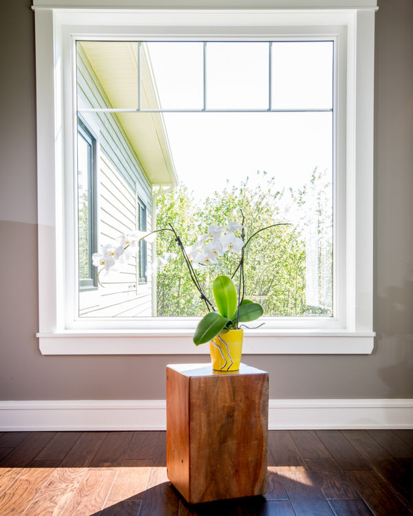 Fixed or Picture Window with flower pot on a pedestal